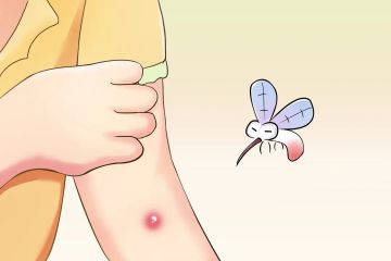 全国疟疾日 | 疟疾防治，这些核心信息要记牢