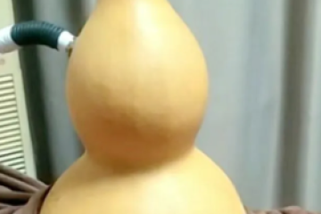 守护女性健康——妇科盆底康复特色项目